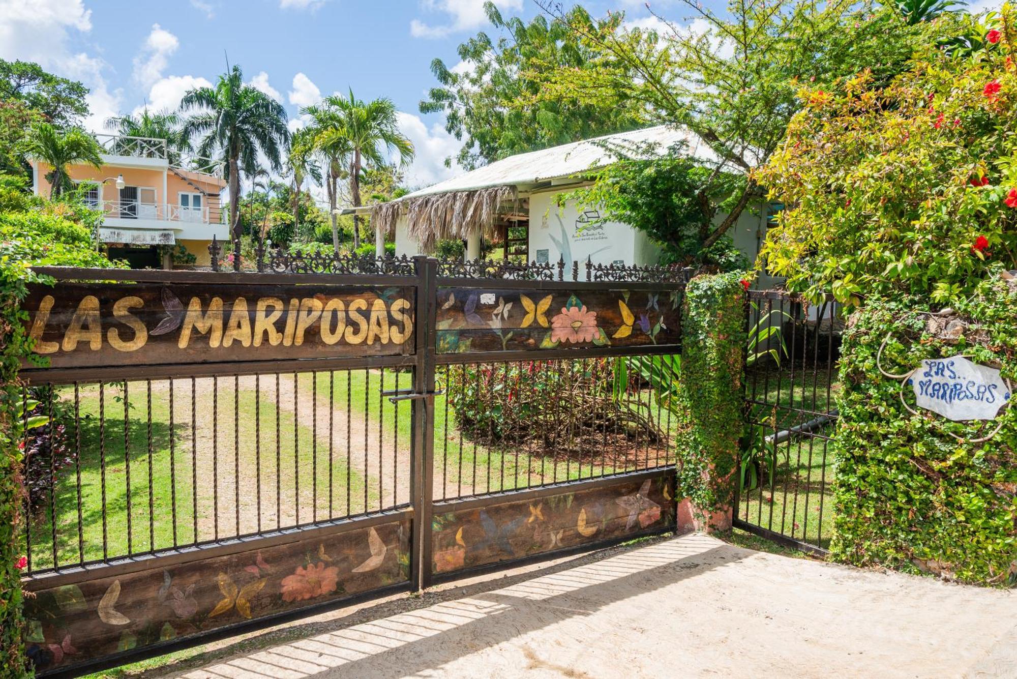 Las Mariposas Las Galeras Exteriér fotografie