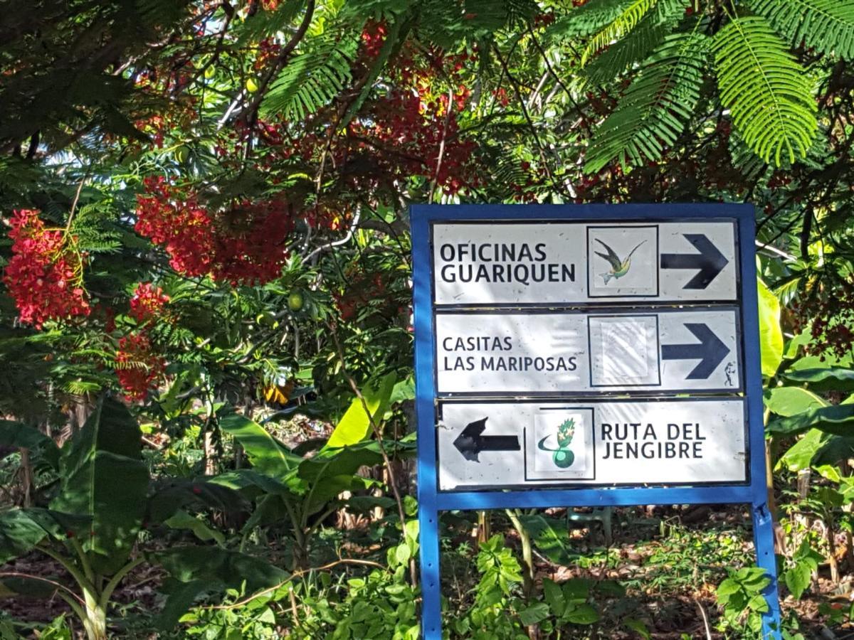 Las Mariposas Las Galeras Exteriér fotografie